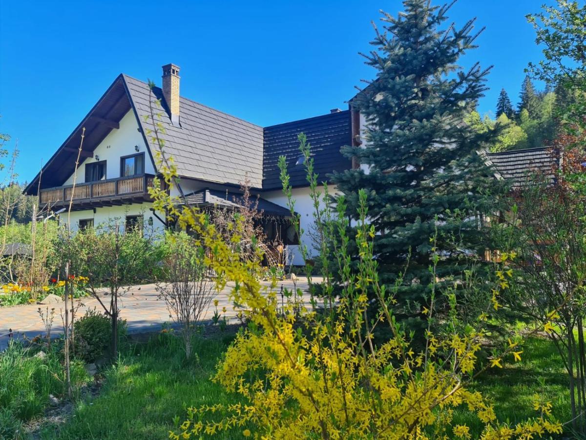Casa Baciu Hotel Fundu Moldovei Buitenkant foto