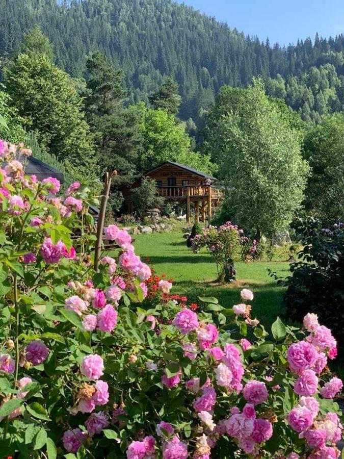 Casa Baciu Hotel Fundu Moldovei Buitenkant foto