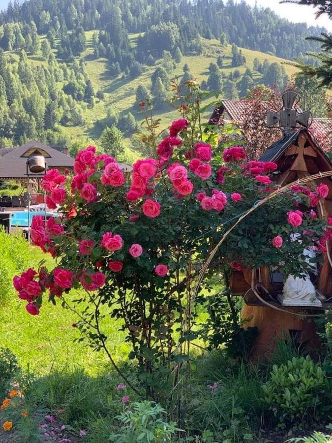 Casa Baciu Hotel Fundu Moldovei Buitenkant foto