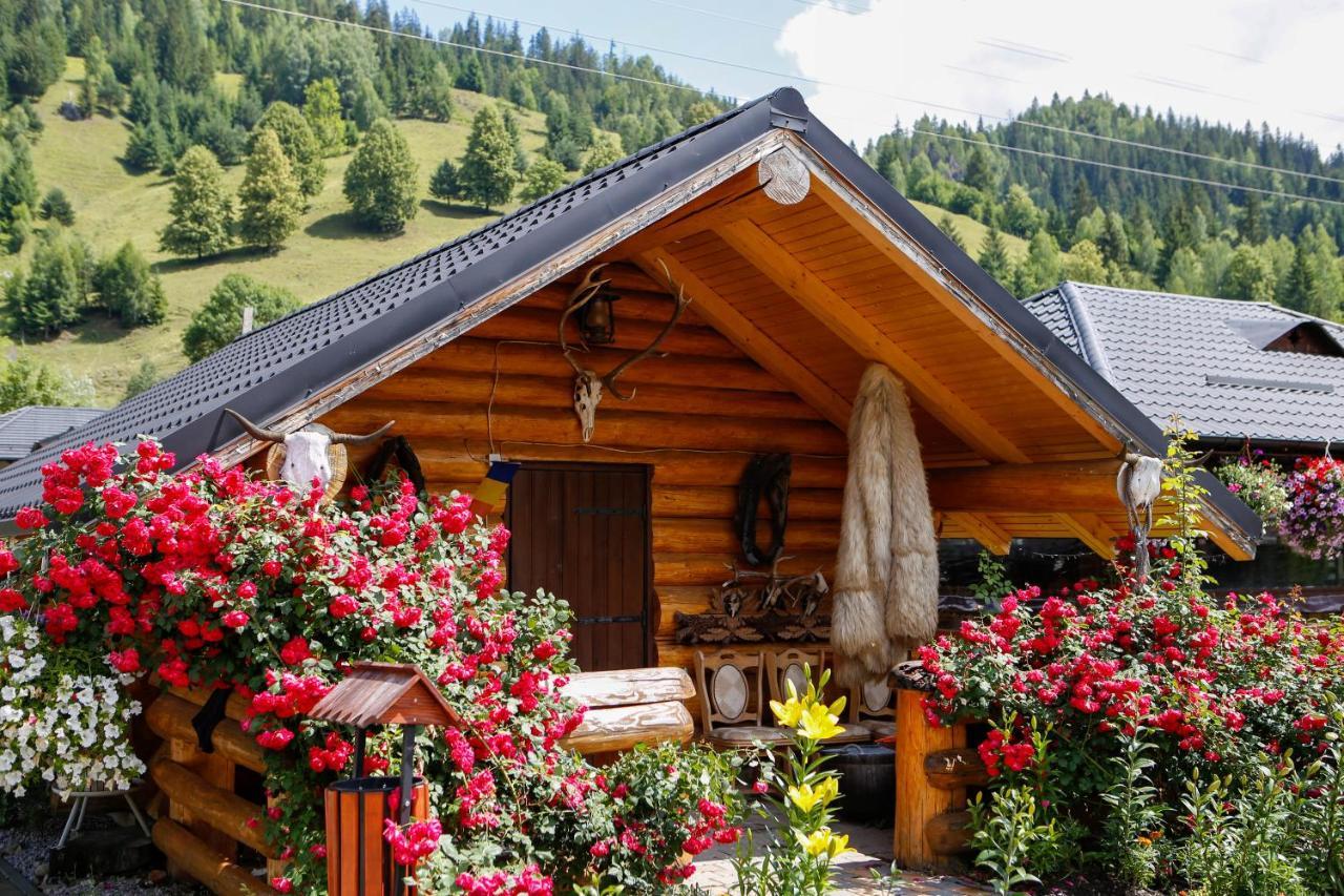 Casa Baciu Hotel Fundu Moldovei Buitenkant foto