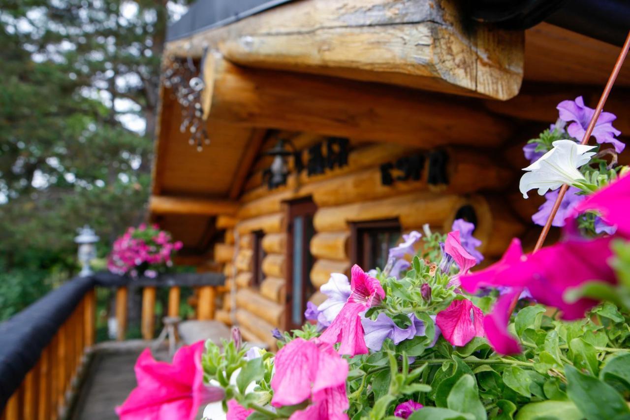 Casa Baciu Hotel Fundu Moldovei Buitenkant foto
