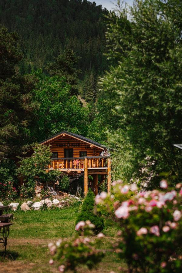 Casa Baciu Hotel Fundu Moldovei Buitenkant foto